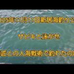 2025年11月11日　新居海釣り公園　サビキと泳がせ　人海戦術