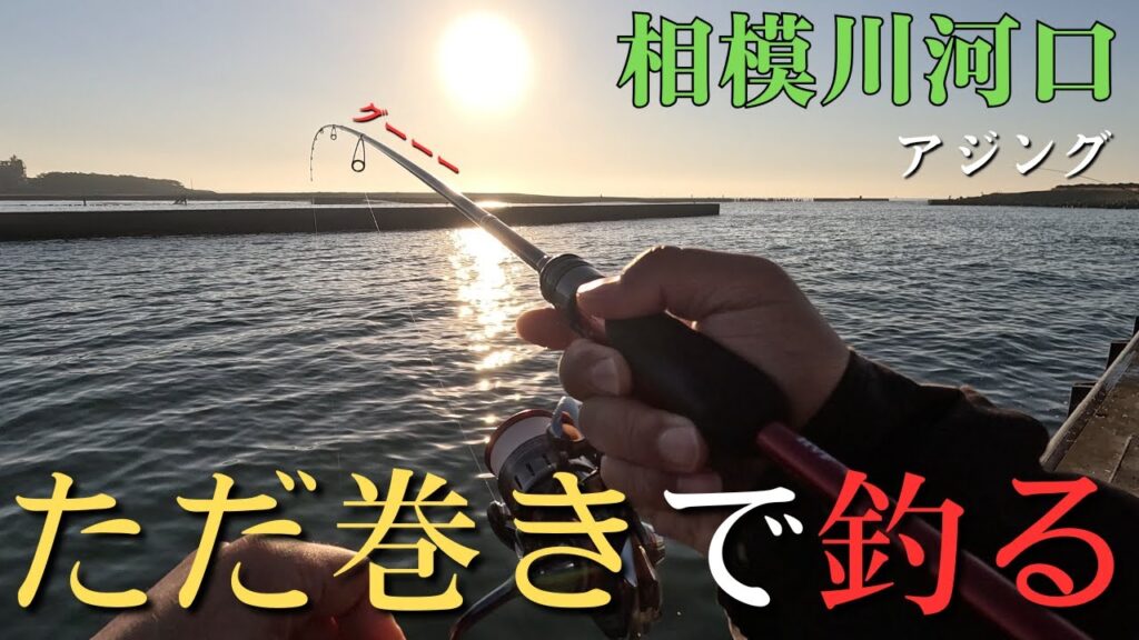【相模川河口】ただ巻きだけで魚は釣れるのか。アジング初心者【2025年11月17～18日】