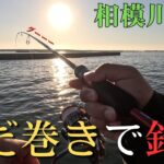 【相模川河口】ただ巻きだけで魚は釣れるのか。アジング初心者【2025年11月17～18日】