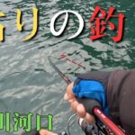 【相模川河口】釣れない時こそ粘ってみる。アジング初心者【2025年11月24、25日】