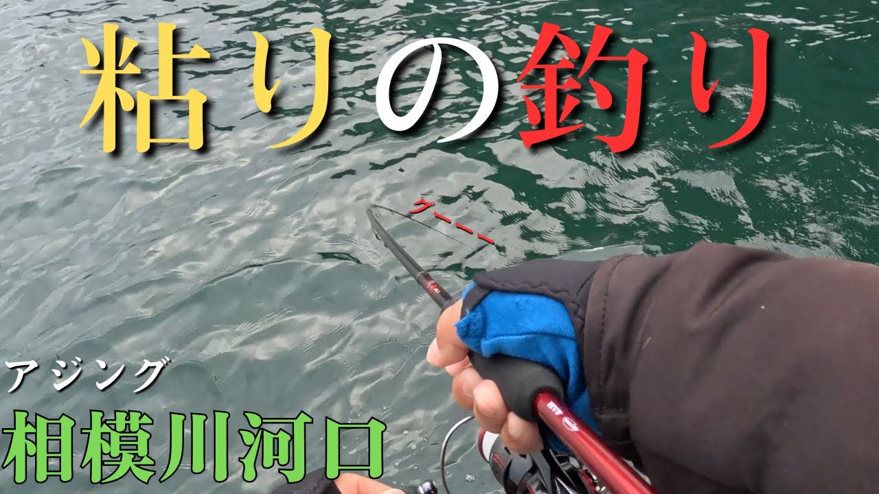 【相模川河口】釣れない時こそ粘ってみる。アジング初心者【2025年11月24、25日】