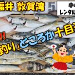 【2025年11月4日】中村旅館レンタルボート「五目釣り」。秋本番、いろんな魚が大フィーバー。五目どころか十目達成!!