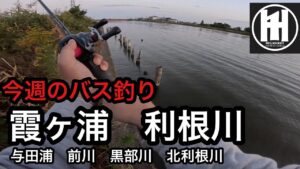 バス釣り今週の霞ヶ浦　利根川　北利根川　与田浦　前川　黒部川2025年11月9日