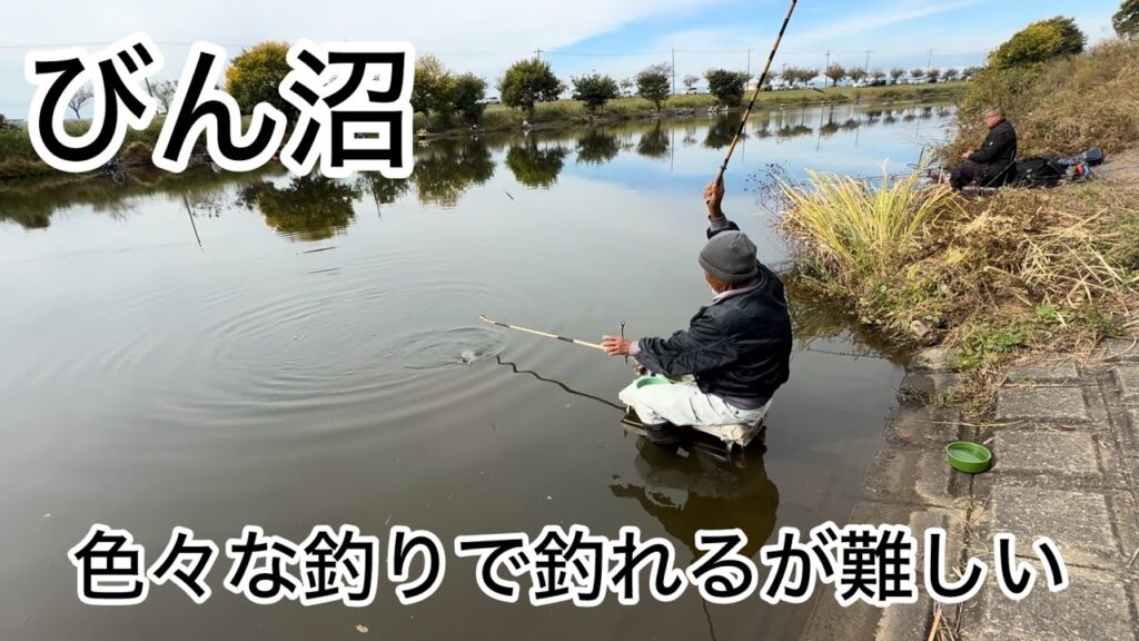 びん沼へらぶな釣り。ついに21尺まで出す時期が来たか。長竿有利！なかなか難しい季節になりました！