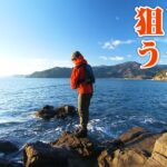 宮城気仙沼でアイナメ狙いのロックショアゲーム！ 2/2 『Rock'n Fish 72』【釣りビジョン】