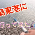 ハッピーフィッシング新潟東港第2東防波堤管理釣り場🎣に行ってきた❗️#short