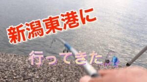 ハッピーフィッシング新潟東港第2東防波堤管理釣り場🎣に行ってきた❗️#short