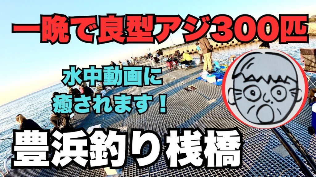 豊浜釣り桟橋　一晩で良型アジ300匹！　水中動画が癒されます！2025.11.16