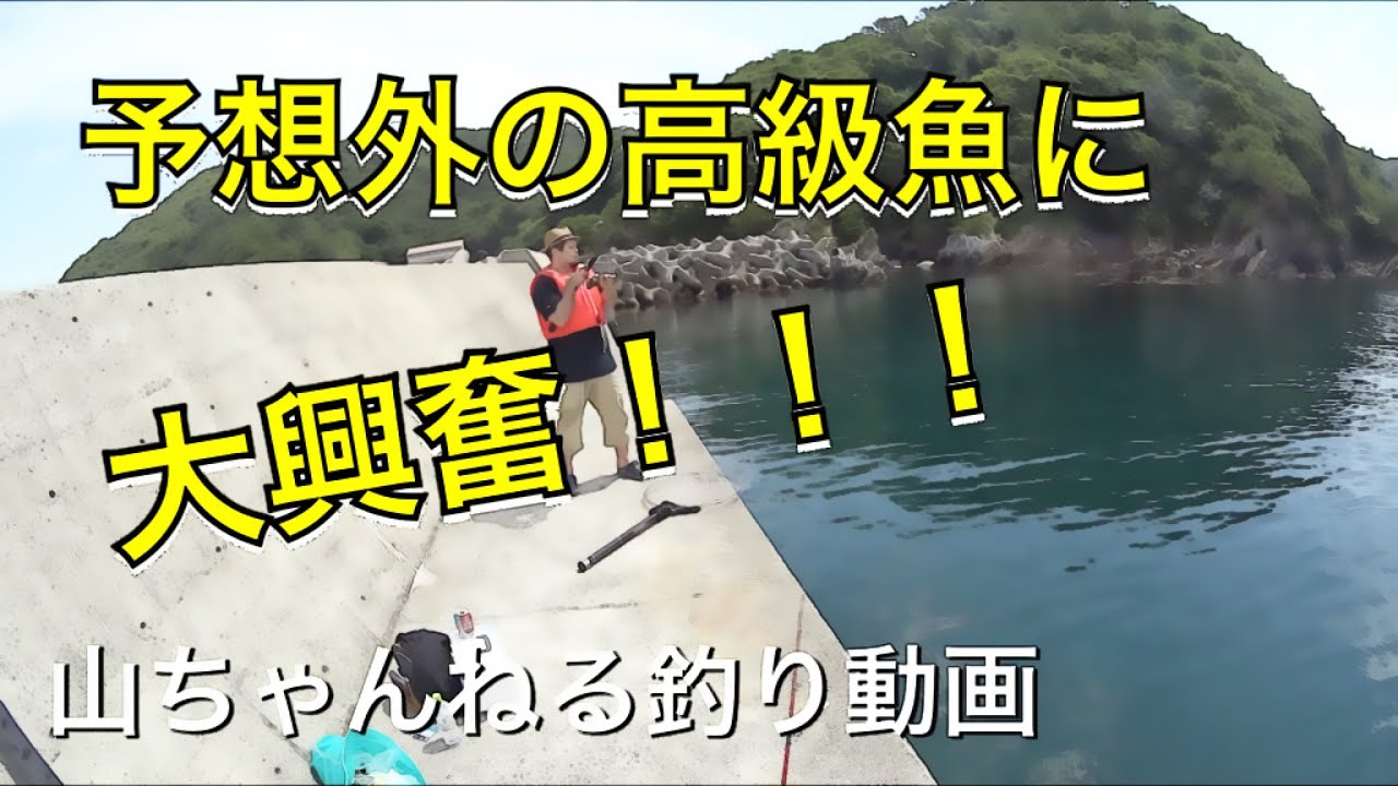記録3【沼島釣り2】ロックゲームでアコウ