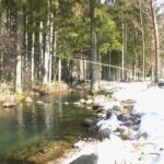 #321 管理釣り場に煌めく鱒の銀鱗～渓流解禁を待つ源流釣り師の腕慣らし～