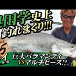 【タイへのアクセス＆管理釣り場の楽しみカタログ付！】フリースタイル365 奥田学 タイ遠征モンスター釣行・番外編