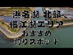 【浜名湖 北部】『細江湖』のおすすめ釣りスポット4選
