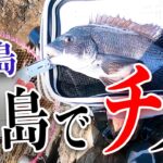 爆釣宣言?!釣りの聖地“沼島”でチヌ釣り!!前日40匹釣れていたフィールドで中村圭介は無事にチヌを釣り上げることができるのか?!