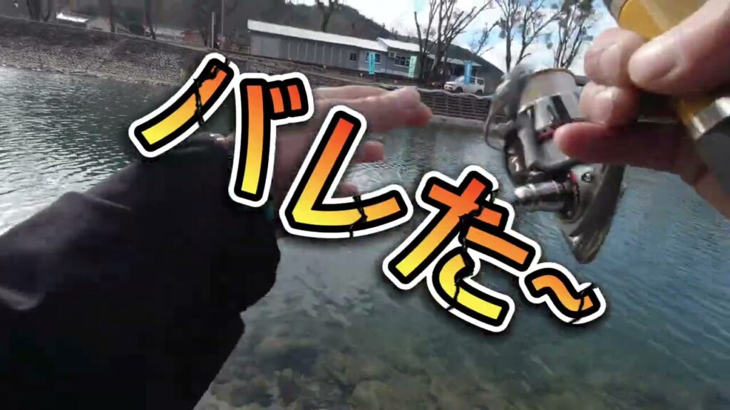 根尾川管理釣り場＃根尾川管理釣り場#年間釣行３６６日#俺のキーパー40cm#目指せアングラーズマイスター