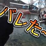 根尾川管理釣り場＃根尾川管理釣り場#年間釣行３６６日#俺のキーパー40cm#目指せアングラーズマイスター