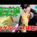【多々良沼】クランクベイトで50アップ！　秋の減水期　タタランバスを狙う