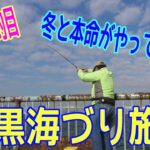 釣り動画ロマンを求めて663釣目 （大黒海づり施設）