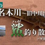 【小名木川】でハゼ釣り散歩/はたして7月のハゼは釣れるのか？/久々のミャク釣りでまさかの釣果【旧中川】【ハゼほたて】