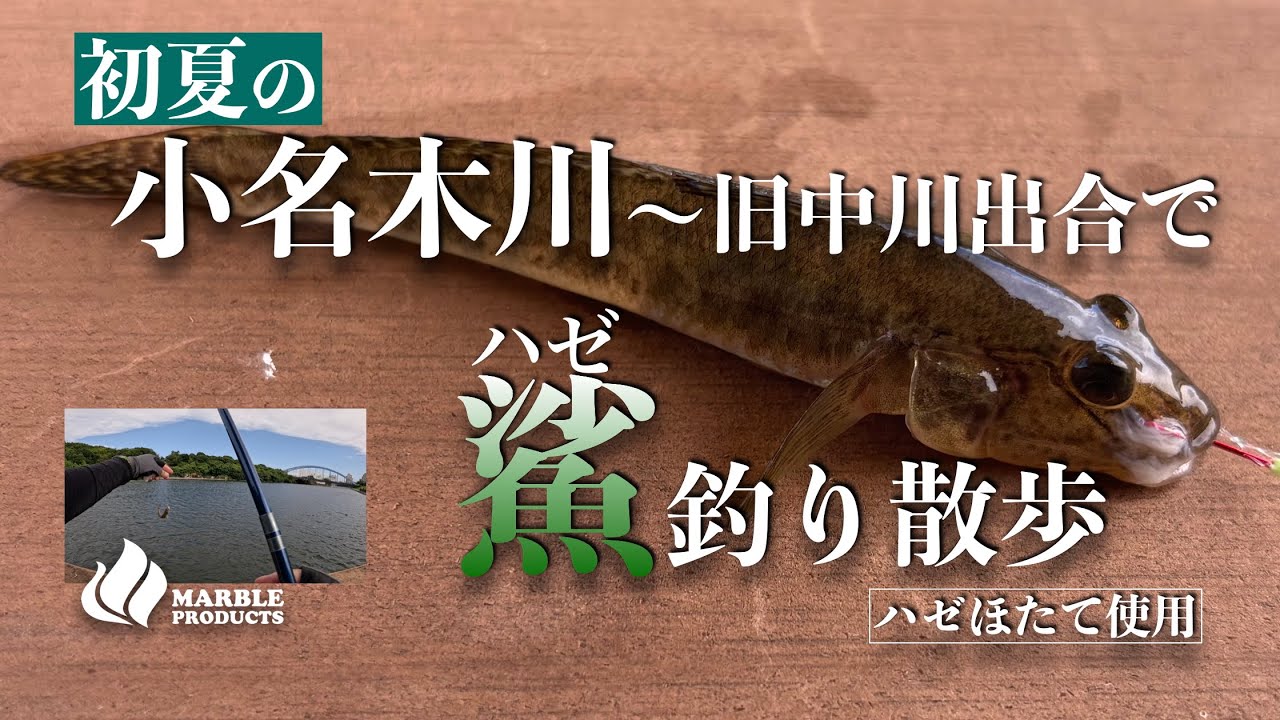 【小名木川】でハゼ釣り散歩/はたして7月のハゼは釣れるのか?/久々のミャク釣りでまさかの釣果【旧中川】【ハゼほたて】