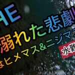 【#80】溺れた末路w秋のトラウト屈斜路湖！！ばっくり転んで顔までダイブw