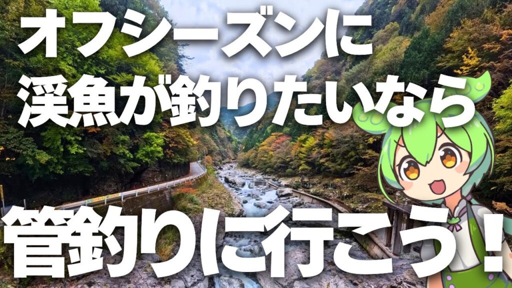 【渓流ルアー】自然渓流を満喫！！期間限定のC&R管理釣り場！#天川管理釣り場