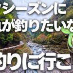 【渓流ルアー】自然渓流を満喫！！期間限定のC&R管理釣り場！#天川管理釣り場