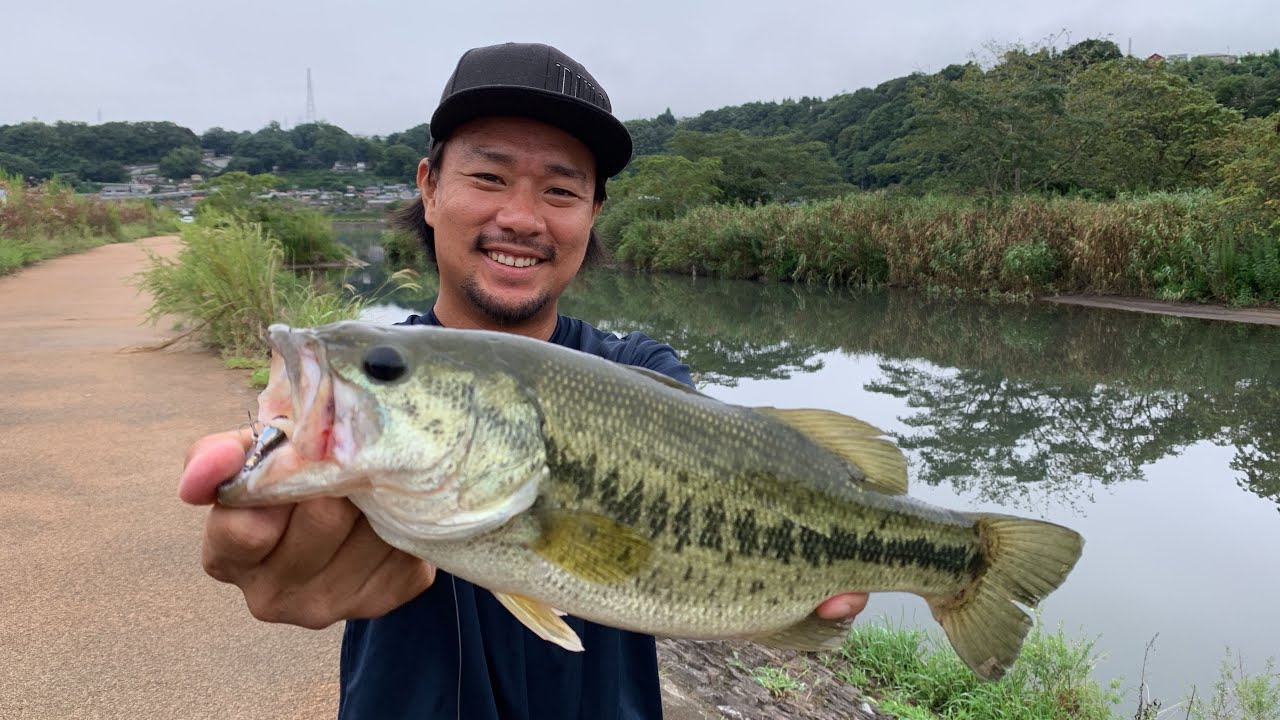 [島田湖] 陸っぱりバスフィッシング 〜FISHING DOOR～