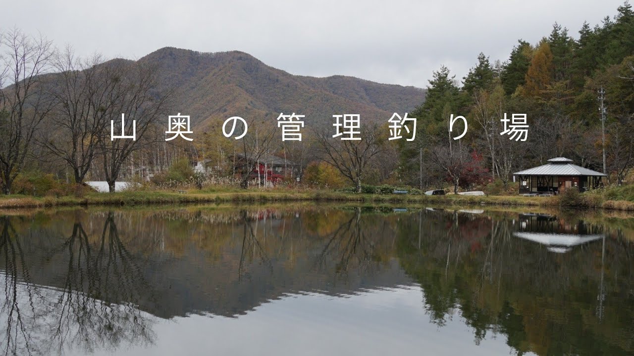 JAPANESE AREA TROUT 2025~山奥の管理釣り場~