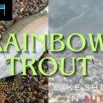 【Lake】Lake Shikotsu  Fishing Rainbow Trout　秋の 支笏湖 釣り ニジマス 50cm 2025.11.09