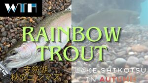 【Lake】Lake Shikotsu  Fishing Rainbow Trout　秋の 支笏湖 釣り ニジマス 50cm 2025.11.09