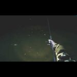 夜釣り・夜の沼釣り／Night swamp fishing  Night fishing Pond