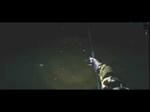 夜釣り・夜の沼釣り／Night swamp fishing  Night fishing Pond