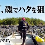 鹿児島県の磯から狙うオオモンハタ＆キジハタ！ 『RUN＆GUN SALT』【釣りビジョン】