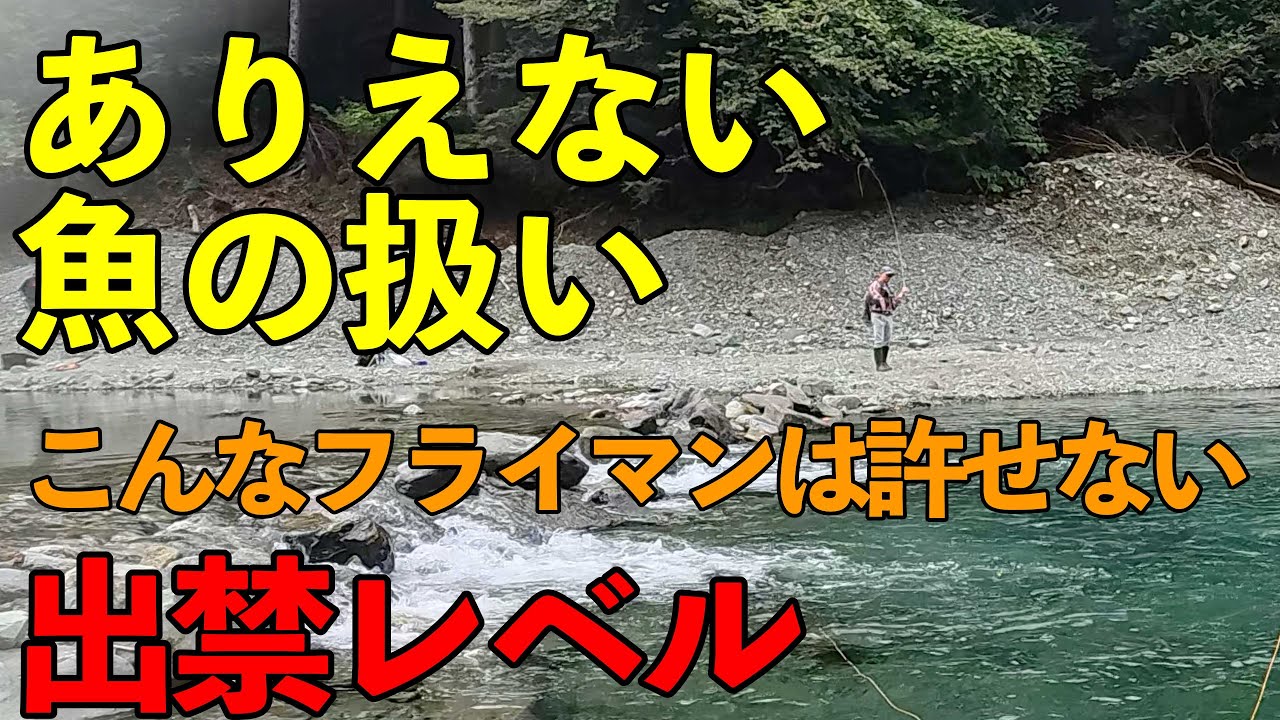 【TK Fishing Video】出禁レベル!驚愕の魚の扱いをするフライマン_こんな人は来ないでください_うらたんざわ渓流釣り場 #エリアトラウト #フライフィッシング #管理釣り場