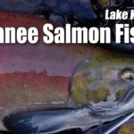 【TROUTGEEK】秋のヒメマス釣り 北海道・屈斜路湖 - Japanese Kokanee Salmon Fishing in Lake Kussharo, Hokkaido