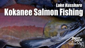 【TROUTGEEK】秋のヒメマス釣り 北海道・屈斜路湖 - Japanese Kokanee Salmon Fishing in Lake Kussharo, Hokkaido