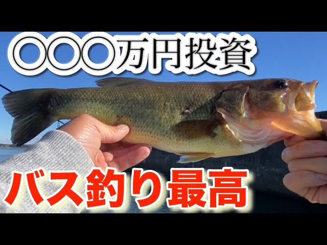 【霞ヶ浦バス釣り】 ５５cmのバスが釣れたそうです！ 投資すれば釣れる？