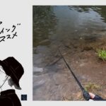 大型魚の猛烈なファイトが楽しめる、北国の大型管理釣り場へ。【フォレストパークひらかわ５周年記念】【エリアミノーイングのススメ】#fishing #釣り #エリアトラウト