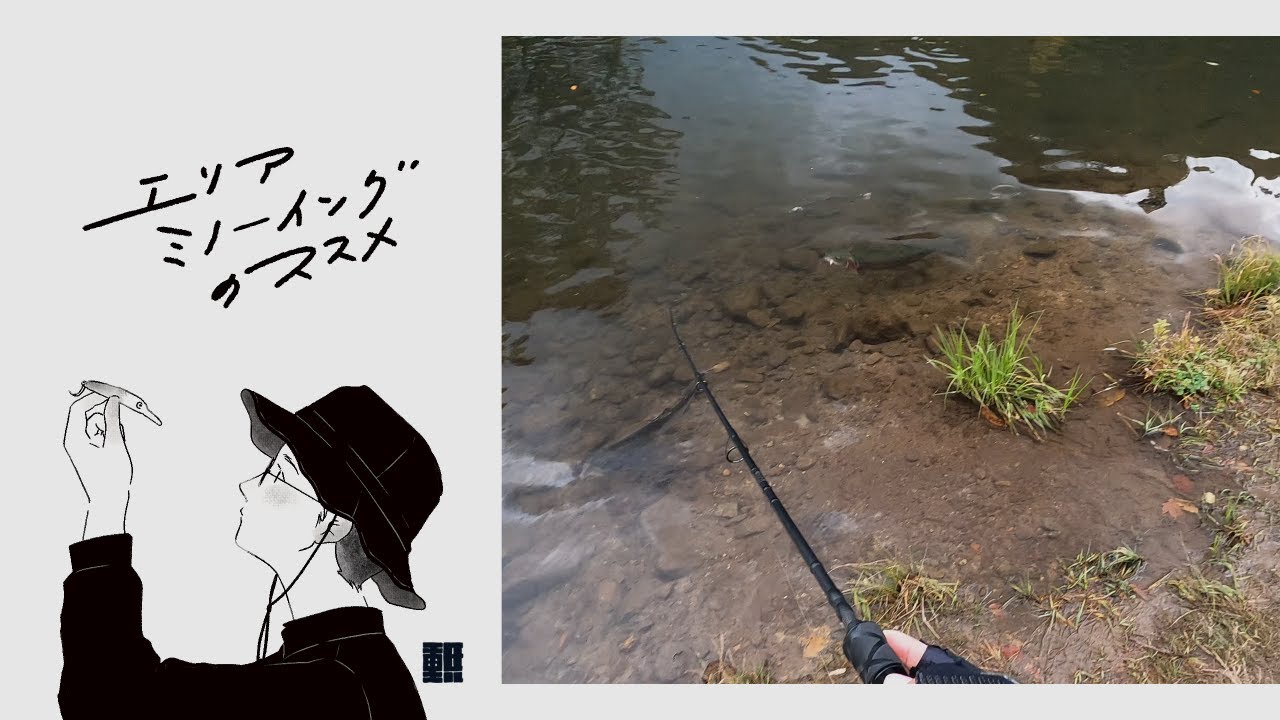 大型魚の猛烈なファイトが楽しめる、北国の大型管理釣り場へ。【フォレストパークひらかわ5周年記念】【エリアミノーイングのススメ】#fishing #釣り #エリアトラウト