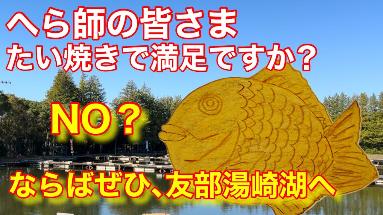 【友部湯崎湖】えっ、たい焼きじゃないの?世界初だよ、絶対食べて #fishing #へら #ヘラブナ #釣り #初心者 #スィーツ #湯崎湖