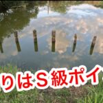 「杭周りはＳ級ポイント」  #山ノ神沼  #小物釣り　#釣り　#fishing