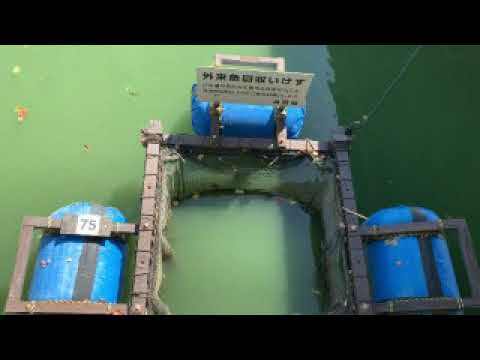 バス釣りポイント！in滋賀　西の湖