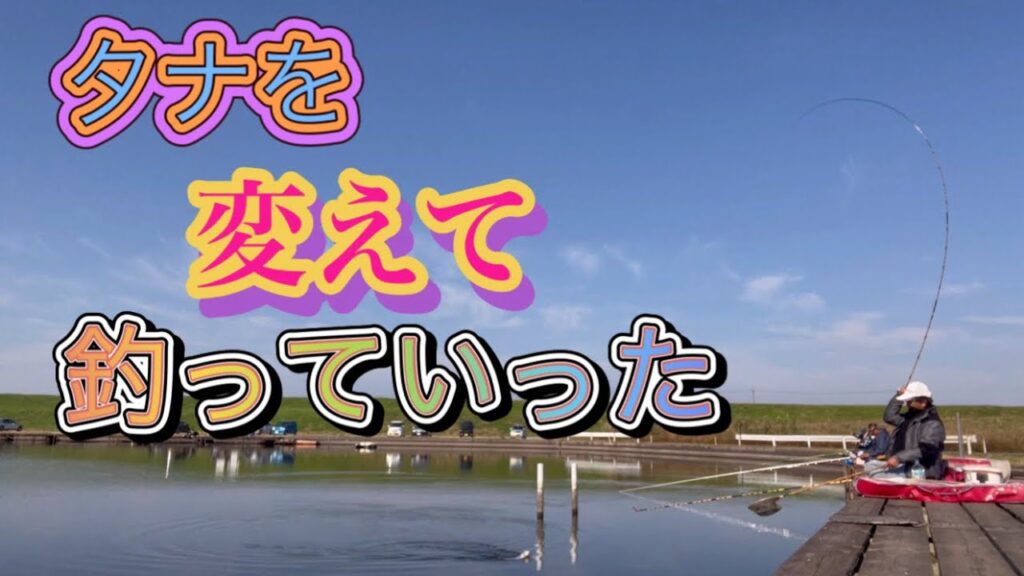 《へらぶな釣り to切れ所沼》動かなくなってきたらタナを変えて拾っていく感じに。