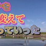 《へらぶな釣り to切れ所沼》動かなくなってきたらタナを変えて拾っていく感じに。