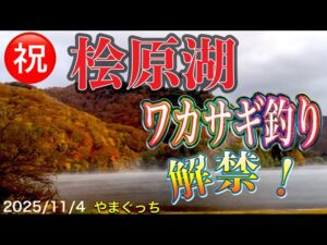 【ワカサギ釣り】㊗️桧原湖ワカサギ釣り解禁!今シーズンもよろしくです。#ワカサギ釣り #桧原湖ワカサギ釣り#シマノ #レイクマスター