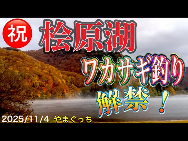 【ワカサギ釣り】㊗️桧原湖ワカサギ釣り解禁！今シーズンもよろしくです。#ワカサギ釣り #桧原湖ワカサギ釣り#シマノ #レイクマスター
