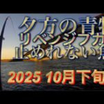 【浜名湖】海釣り公園 釣り 青物 フカシ リベンジ 爆釣 エグい引き