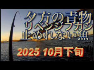【浜名湖】海釣り公園 釣り 青物 フカシ リベンジ 爆釣 エグい引き