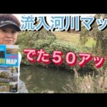 【霞ヶ浦バス釣り】 秋本番デカバスの時期！ 一の瀬川から攻めてみます おかっぱり