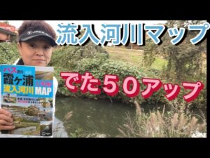 【霞ヶ浦バス釣り】 秋本番デカバスの時期！ 一の瀬川から攻めてみます おかっぱり